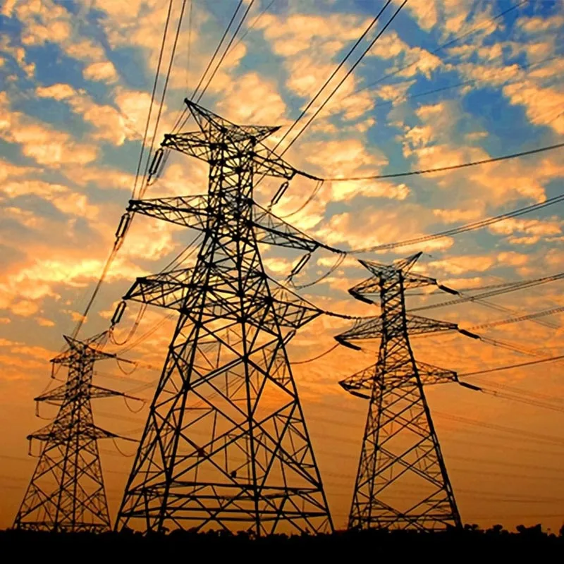 Red estatal y sistema eléctrico